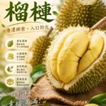 越南進口-干堯榴槤